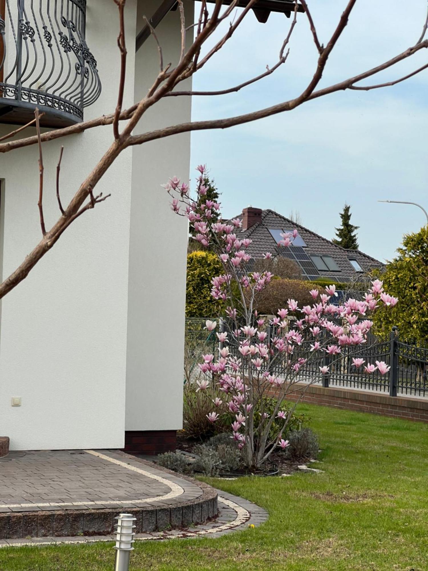 Apartamenty Bursztynowe Dębki Exteriör bild